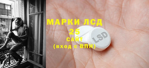 прущие грибы Пересвет