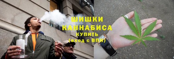 гашик Белокуриха