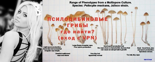 спайс Белоозёрский