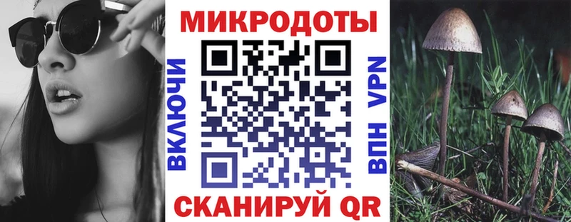 Псилоцибиновые грибы GOLDEN TEACHER  Вельск 
